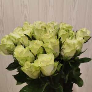 Baltos rožės[ 40cm ilgio]